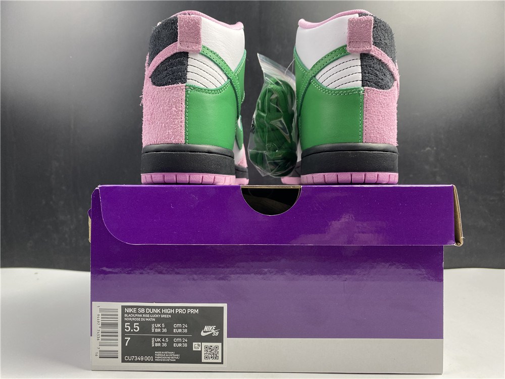 Nike Dunk SB Hi Invert Celtics CU7349-001